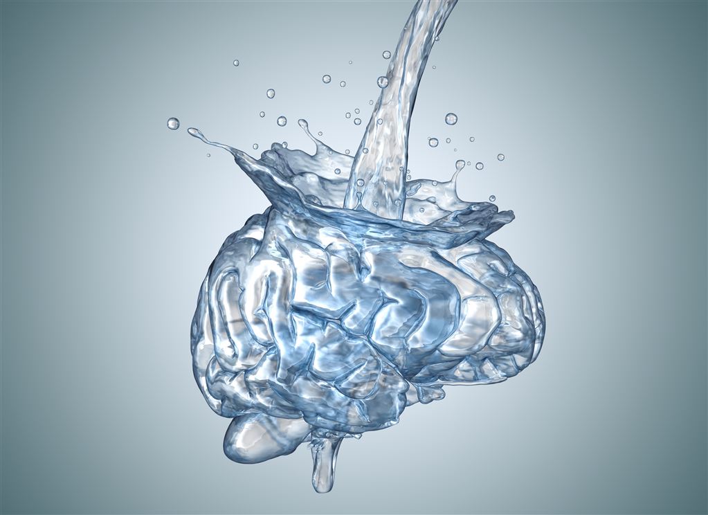Feed Your Brain Water